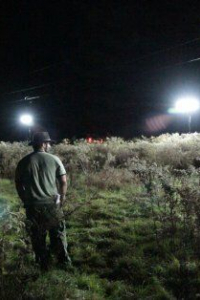 Гленн Чиано