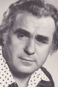 Виктор Соколов