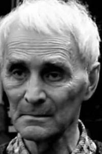 Василий Кравцов