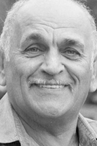 Михаил Калик