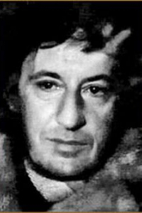 Владимир Довейко