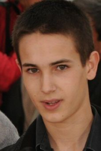 Эмиль Берлинг