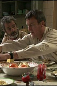 Дион Стюардсон