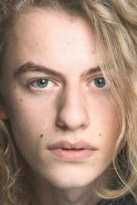 Людовико Жирарделло