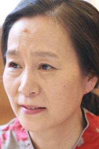 Си Мэйцзюань