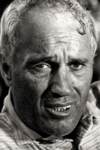 Роберт Дж. Уилки