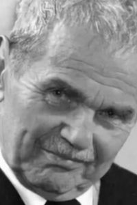 Херберт Штайнмец