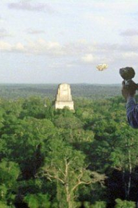 Лорни Петерсон