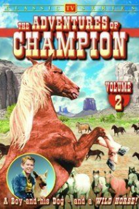 Бэрри Кертис