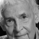 Анатолий Адоскин