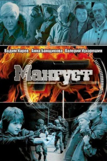 Мангуст