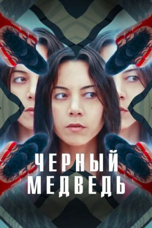 Чёрный медведь