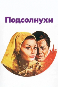 Подсолнухи