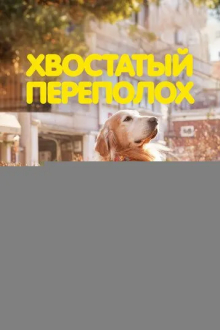 Хвостатый переполох