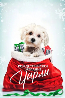 Рождественское желание Чарли