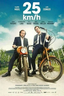 25 км/ч