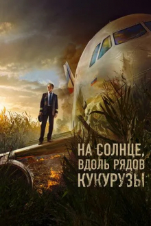 На солнце, вдоль рядов кукурузы