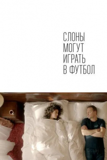 Слоны могут играть в футбол