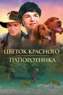 Цветок красного папоротника