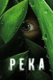 Река