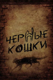 Черные кошки