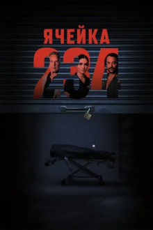Ячейка 234
