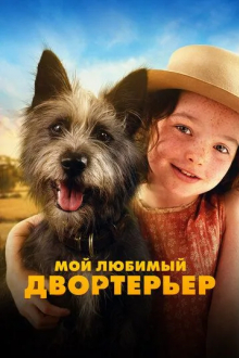 Мой любимый двортерьер