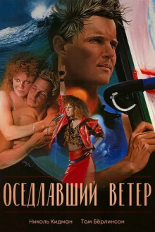 Оседлавший ветер