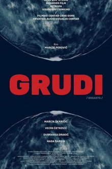 Grudi