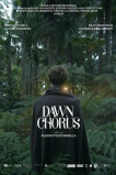 Dawn Chorus