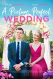 A Picture Perfect Wedding