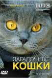 BBC: Загадочные кошки