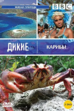 BBC: Дикие Карибы