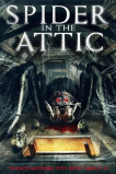 Паук на чердаке