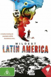 В дебрях Латинской Америки