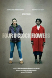 Цветы на четыре часа