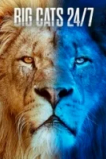 Big Cats 24/7
