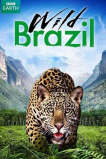Дикая Бразилия