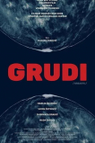 Grudi